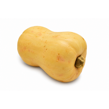 Butternut Squash/Pumpkin - Australia (1 pc)