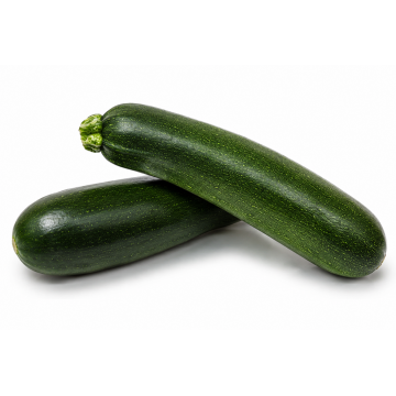 Zucchini Green - Malaysia (2 pcs)