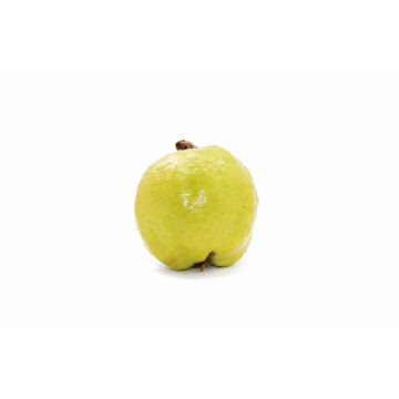 Guava Seedless S - Thailand (1 pc)