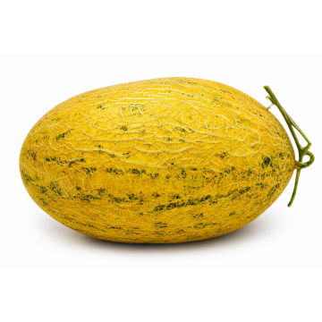 Hami Melon - China (1 pc)