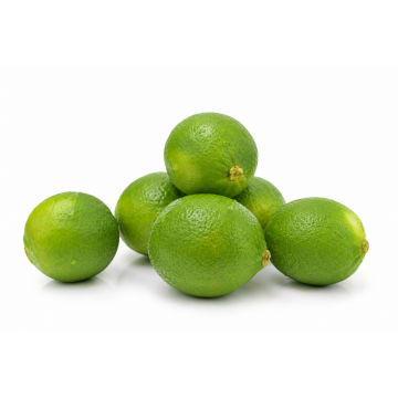 Lime Seedless Large - Vietnam (Pack of 6)