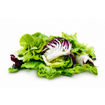 Mesclun Salad DIY Pack - Malaysia (150 gm)