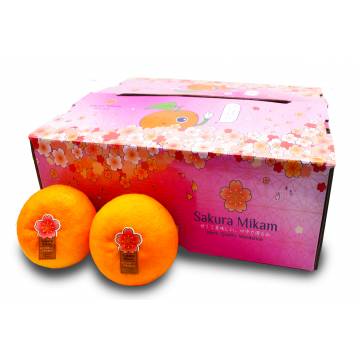 Sakura Mikan Mandarin Orange Carton *L Size* - China (28 pcs)
