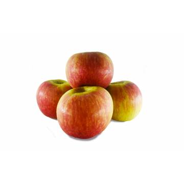 Apple Red Fuji / Cripps Red - South Africa (Pack of 4)