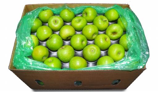 applegreencarton-512x299.jpg