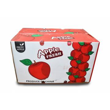 Apple Red Fuji Carton - China (100-113 pcs)