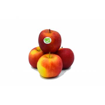 Apple Red Candine - France (Pack of 4)