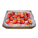 Fresh Fruits