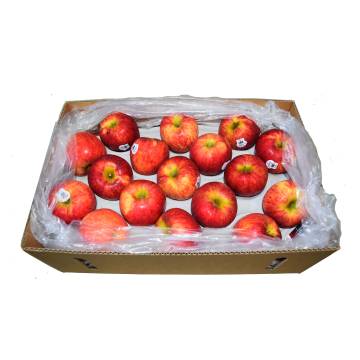 Apple Red Envy Carton - US/NZ (28-30pcs)