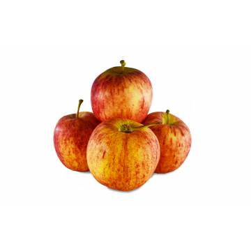Apple Red Gala - South Africa / France (Pack of 4)