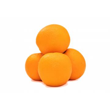 Orange Sunkist - USA / Australia (Pack of 4)