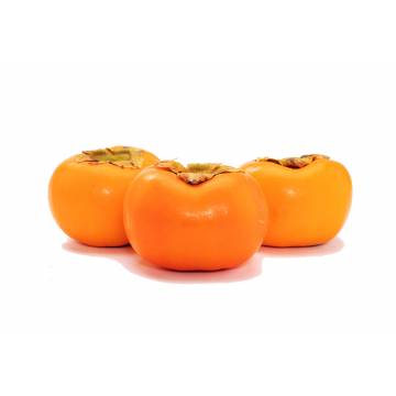 Persimmon - New Zealand (Pack of 3)