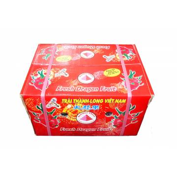 Dragonfruit White Carton - Vietnam (16-18 pcs)
