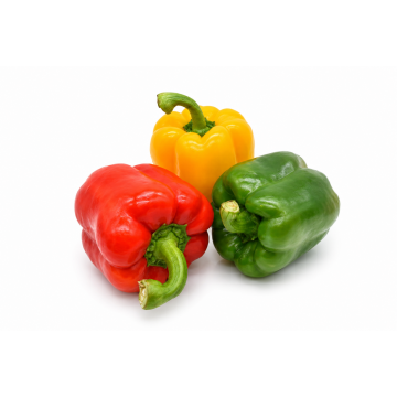 Fresh Tri Capsicum (R, G, Y) - Vietnam (Pack of 3)