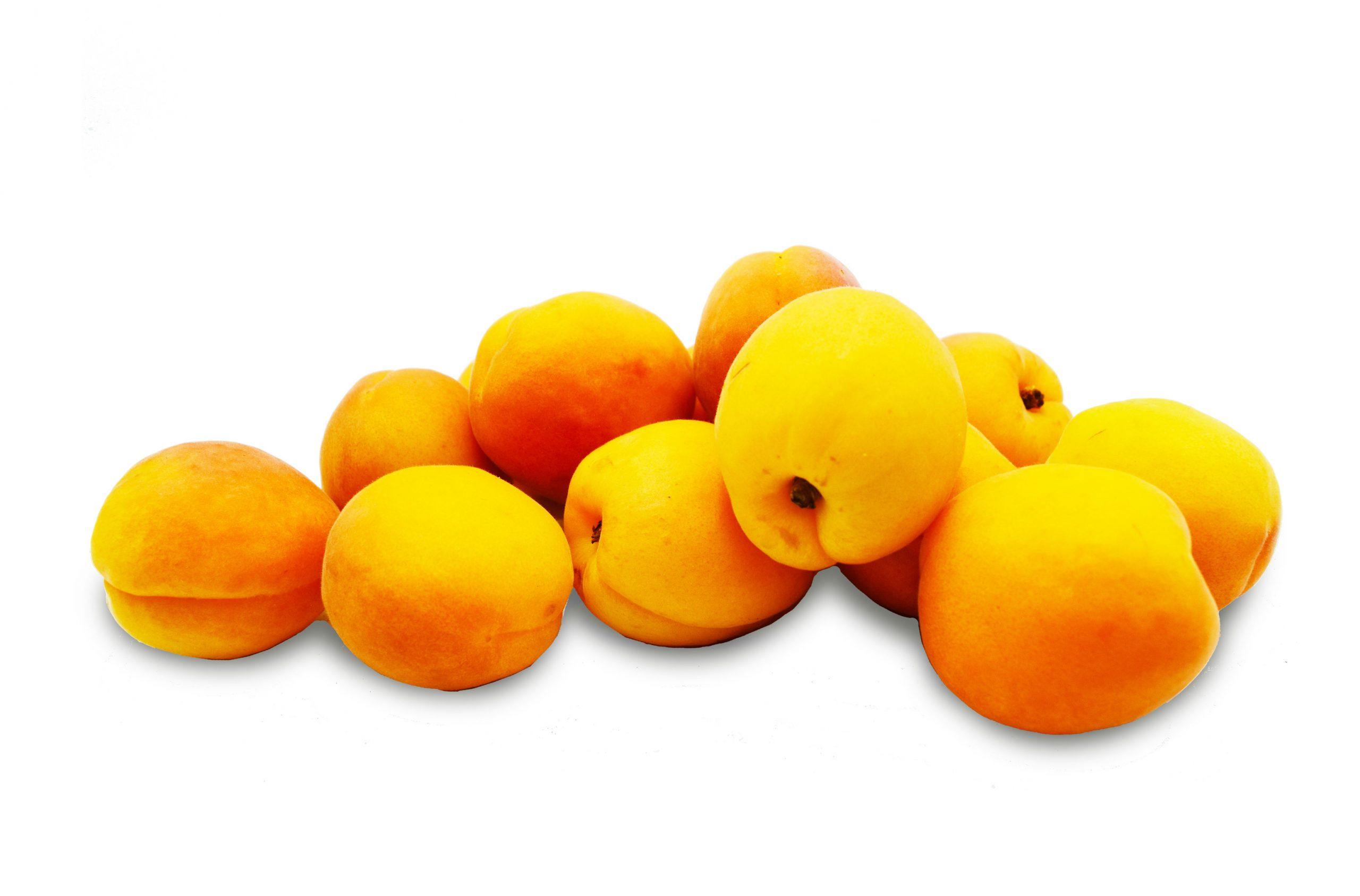 apricot-yellow-australia